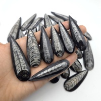 Fossile d'Orthocéras Naturel en Forme de Poire, Cabochon, Pierre Libre, Vente en Gros de Gemmes, Fossile d'Orthocéras Noir Naturel, Prix de Gros
