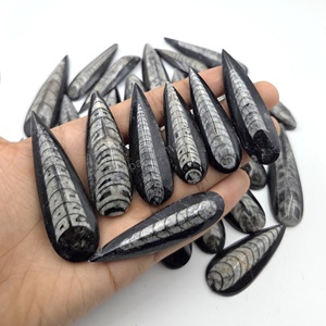 Fossile d'Orthocéras Naturel en Forme de Poire, Cabochon, Pierre Libre, Vente en Gros de Gemmes, Fossile d'Orthocéras Noir Naturel, Prix de Gros - Product Image 3