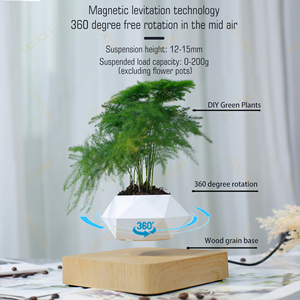 Haut de gamme Commercial créatif artificiel lévitation magnétique bonsaï flottant intérieur maison bureau <span class=keywords><strong>d</strong></span>écoration Air plante Pot - Product Image 4