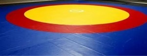Good Quality Rxn 12mtr X 12mtr Vinyl Coated Wrestling Mat Cover 550gsm for Martial Arts Training Available at Best Price - Product Image 3