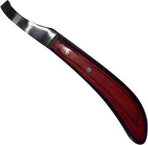 Cuchillo Japonés de Doble Filo Curvo de Acero Inoxidable para Cortar con Precisión - Product Image 4