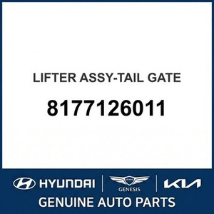อะไหล่รถยนต์และรถบรรทุกซานตาเฟ่ใหม่ 8177126011 - Product Image 1