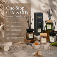 Diffuseur de parfum à bâtonnets AIKUN à livraison rapide, emballage de luxe personnalisé, senteurs multiples, longue durée, marque privée, pour espaces de bureau