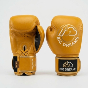 Gants de boxe en cuir Big Dreams 14 oz avec fermeture Velcro pour adultes - Product Image 6