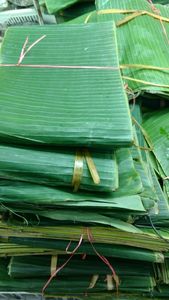 Feuilles de bananier naturelles congelées, fraîchement coupées, entières, pour emballage alimentaire, fournisseur en gros, usine du Vietnam - Product Image 4