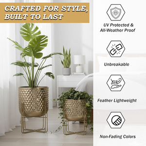 Juego de 2 Macetas de Hierro Pulido Dorado con Soporte, Acabado Pulido, Macetas Modernas y Elegantes para Uso en Interiores o Exteriores - Product Image 4