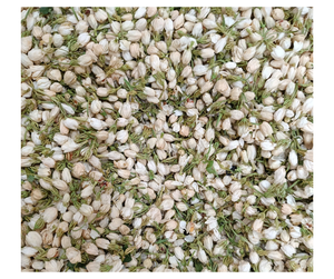 Proveedor de Flores de Jazmín Secas Naturales de Vietnam - Venta al por Mayor de Flores Herbales para Procesamiento de Pedidos al por Mayor - Product Image 4