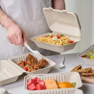 Boîte en bagasse de 9x6 pouces, compatible micro-ondes, pour les déjeuners au bureau et à l'école, boîte repas biodégradable pour l'emballage des aliments chauds et froids - Product Image 5