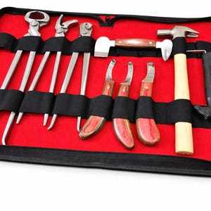 Kit d'outils vétérinaires professionnels et durables pour le soin des sabots des chevaux, outils de ferrage, entretien des sabots, soins des chaussures, animaux de grande taille, acier inoxydable - Product Image 3