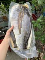 Filets de poisson basa séchés de qualité supérieure à bas prix, corps de pangasius salinisé, sac OEM ODM, vente en gros