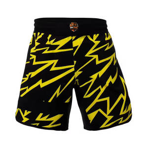 Shorts de combat élégants, résistants, à séchage rapide, en matière légère, avec taille élastique, pour arts martiaux, MMA, entraînement de boxe, vente en gros - Product Image 1