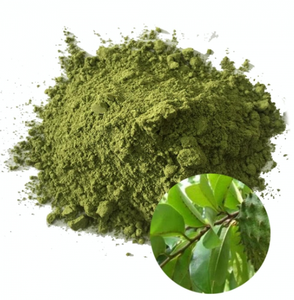 ใบฝรั่งแห้งจากเวียดนาม – ชาสมุนไพรธรรมชาติ - Product Image 4