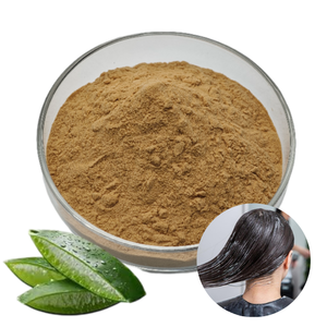 Polvo de Aloe Vera Liofilizado Premium 100% Puro y Natural para el Cuidado de la Piel, el Cuidado del Cabello y el Crecimiento del Cabello - Product Image 1