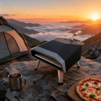 Four à pizza portable pour jardin, four à pizza au bois pour les sorties en plein air, la terrasse et le camping en camping-car