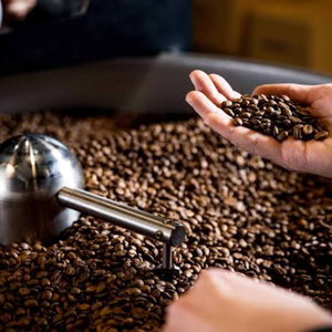 Café Ecológico de las Tierras Altas de Vietnam, Granos de Arábica Premium, Totalmente Lavados, Estándar de Exportación, Suministro al por Mayor para Tostadores - Product Image 6