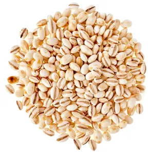 Hot selling Barley for animal feed available for export
