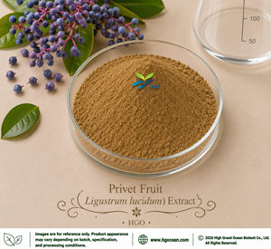 Suministro Directo de Fábrica HGO de Extracto Puro y Natural de Fruta de Privet (Ligustrum lucidum) (Grado Alimenticio) 4:1 5:1 10:1 20:1 100:1 200:1 - Product Image 1