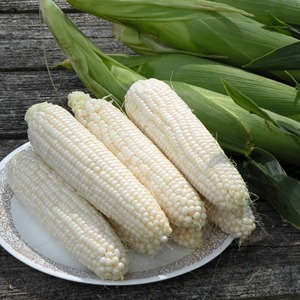 Maíz Blanco Premium para Exportación: Pedido a Granel para Importadores, Grano Seco de Calidad, Empaque Seguro y Proveedor Confiable - Product Image 4