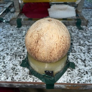 Noix de coco semi-décortiquée de haute qualité, fraîche de ferme, exportateur fiable, origine Vietnam, fruit tropical mûr, vente en gros, lot en vrac - Product Image 2