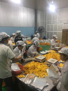 Mangue séchée douce tranchée avec un goût doux naturel Mangue séchée de bon goût tranchée avec moins de sucre de 99GD - Caryln - Product Image 4