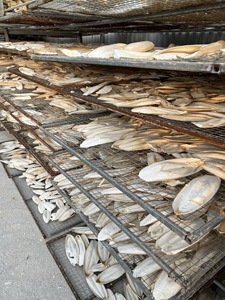 Os de Seiche Séché Naturel pour Perroquet : Calcium et Santé du Bec - Product Image 2