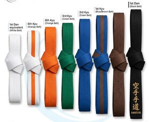 Offre Spéciale Ceintures d'entraînement unisexes d'arts martiaux de haute qualité Coton coloré Karaté Judo Taekwondo Jiu-Jitsu Logo imprimé personnalisé - Product Image 1