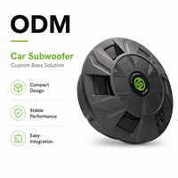 ODM Sennuopu - Subwoofer stéréo actif pour voiture avec amplificateur intégré