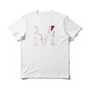 เสื้อยืดพิมพ์ลายวินเทจสั่งทำพิเศษ เสื้อยืดลายกราฟิกย้อนยุค ขายส่ง ผ้าฝ้ายออร์แกนิค 100% แฟชั่นยั่งยืนสำหรับผู้ชาย - Product Image 1