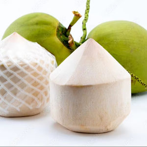 Cubos de Coco Fresco con Corte Diamante para Bebidas y Postres, Suministro al por Mayor - Product Image 5