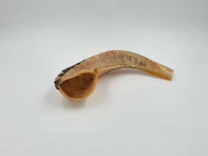 Shofar en corne de bélier naturelle, artisanat religieux, corne d'animal brute polie, forme courbée, shofar artisanal pour la prière. - Product Image 6