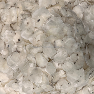 Écailles de poisson séchées KMI du Vietnam pour l'extraction de collagène, quantité en gros au meilleur prix - Product Image 1