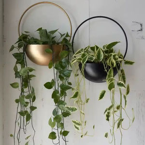 Macetero colgante de pared de hierro de estilo industrial de diseño moderno para decoración de sala de estar o casa de campo - Product Image 1