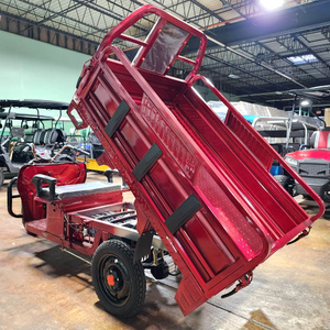 Premium Gasoline <b>Tricycle</b> Truck Cargo Transportation Water-Cooled Engine Gasoline Motor <b>Tricycle</b> Available - Product Image 2
