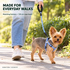 Harnais pour chien réglable en polyester et laisse de 120 cm avec poignée en mousse, vente en gros, OEM ODM - Product Image 3