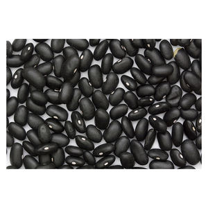 Low cost black kidney <b>beans</b> positioned for professional resale and trade supply - Product Image 2
