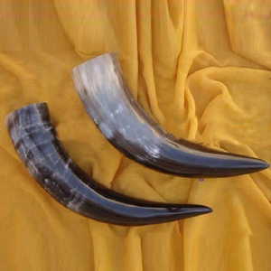 Buffalo <b>Decorative</b> Horn Item Pair Horn Amazing Price Houseware High Quality Buffalo Horn <b>Decorative</b> Pair - Product Image 4