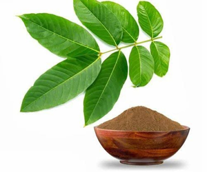 Extracto de Hoja de Banaba en Venta, Ácido Corosólico al 20% - Product Image 1