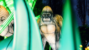 Китайские фонари в виде животных для украшения улиц, зоопарков и парков на фестивалях - Product Image 3