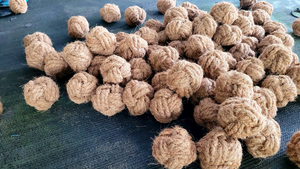 Bola de Fibra de Coco Natural de 6cm/8cm - Origen Vietnam, Bola Premium para Entrenamiento de Perros, Empaque para Exportación a Granel para Mayoristas de Productos para Mascotas - Product Image 3
