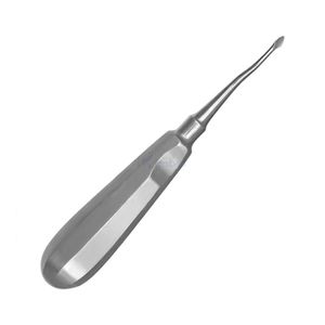 เครื่องมือผ่าตัดถอนรากฟันปลายแหลมละเอียด ทำจากเหล็กกล้าไร้สนิมคุณภาพสูง สำหรับการถอนรากฟันอย่างแม่นยำ - Product Image 1