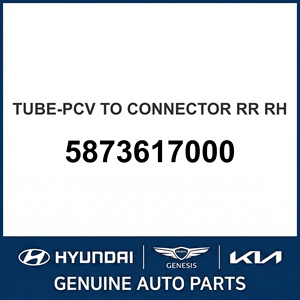 Nouveau tube PCV d'origine pour connecteur RR, RH OEM 5873617000 - Product Image 1