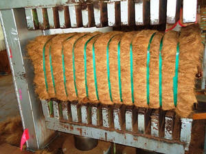 Fibra de Coco de Alta Durabilidad y Versatilidad, Fabricante y Exportador Líder en India - Product Image 4