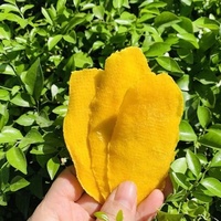 Gedroogde Mango Fruit/Zacht Gedroogde Mango/Gedroogde Vruchten Goedkope Prijs Van Vietnam - Linda Tran