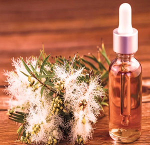 Fabricant et exportateur d'huile essentielle de Niaouli en gros OEM, huile naturelle pure en vrac pour l'aromathérapie, les diffuseurs, les savons et les cosmétiques - Product Image 1
