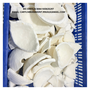 Viande de noix de coco congelée, douce et tendre, avec un arôme authentique, le meilleur choix pour les garnitures de desserts, les sauces à la noix de coco et les collations biologiques - CARYLN - Product Image 5