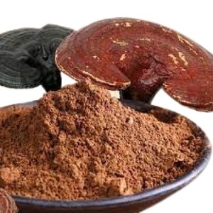 Poudre de Ganoderma Lucidum Biologique en Gros, Champignon Reishi, Superaliment, Antioxydant Naturel et Complément Herbal Stimulant l'Immunité - Product Image 4