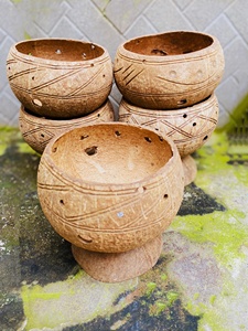 Maceta de Fibra de Coco 100% Ecológica, Biodegradable y Sostenible de Alta Calidad para Jardín y Hogar, Estilo Rústico Vietnamita - Product Image 1