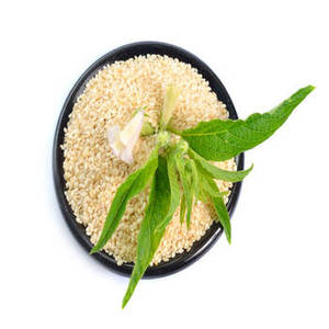 Graines de sésame indiennes de saison fraîche pour les marchés mondiaux de gros, approvisionnement agricole en vrac, distribution d'ingrédients alimentaires - Product Image 1