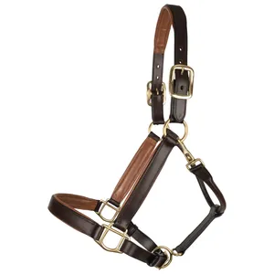 Custom Made <b>Top</b> Quality Equestrian Horse Racing <b>Leather</b> <b>Halter</b> Lightweight Comfortable Solid Brass Hardware Soft <b>Leather</b> Padding - Product Image 3