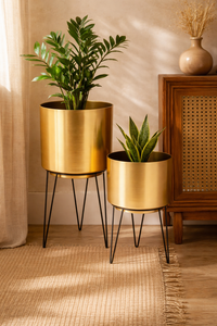 Macetero de Arena de Hierro con Recubrimiento de Polvo, Duradero, Multiusos, para Interiores, con Drenaje, para Decoración del Hogar y Jardín - Product Image 6